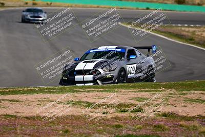 media/Feb-25-2024-Speed Ventures (Sun) [[b9a2a97a4d]]/Mustang Drivers Club/Session 3 (Turn 2)/